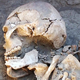 Illustration for article titled Remains of “Warrior Princess” Found Buried Alongside Dagger and Sword